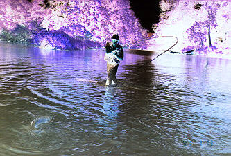 Fly Fishing in Outer Space...