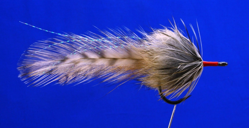 The Cockroach