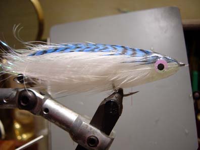 John Morin's Feather Brain