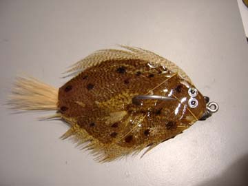 Another Flounder!