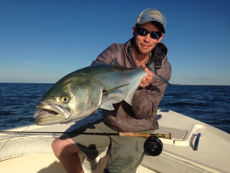 Flyrod Bluefish!