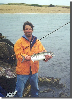 Flyrod Shore Bonito at Menemsha, Massachusetts. Photo: Chris Windram