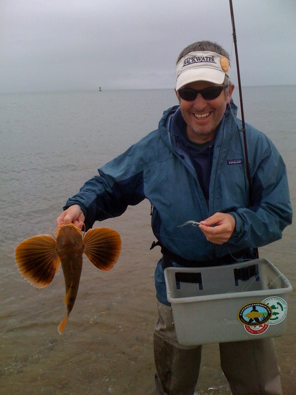 Sea Robin