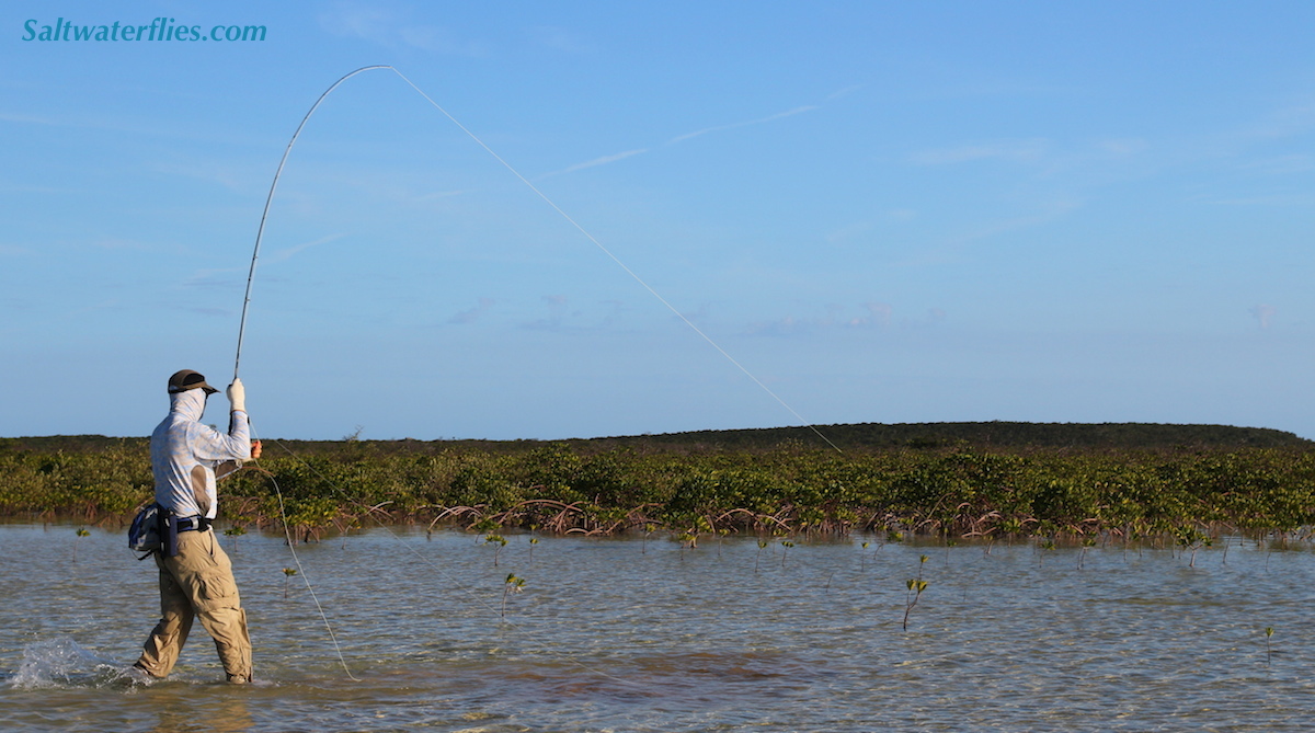 stalking bonefish on fly