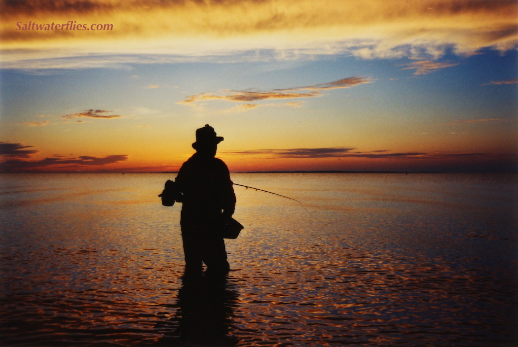 Striped Bass Sunset