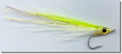 BestCity Fly Fishing Saltwater Clouser Minnow Red pack of 6 sizes 4-8# 150C 