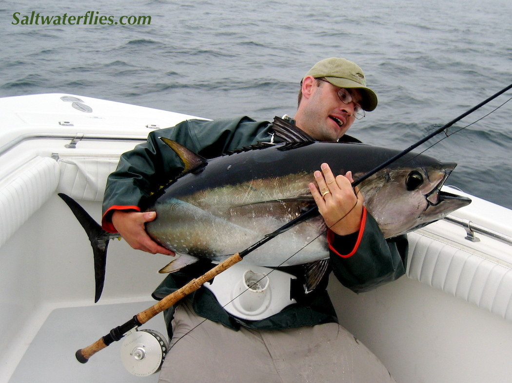 Bluefin Tuna on fly